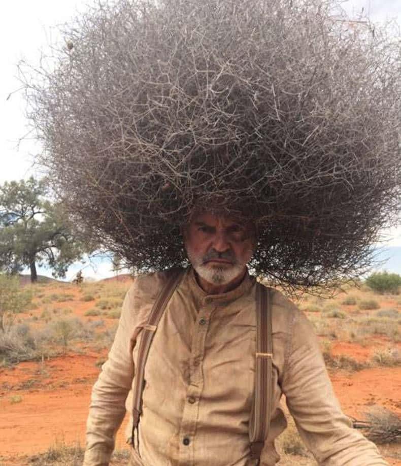 Funny People Tumbleweed Afro Hair Pictures Wallpaper