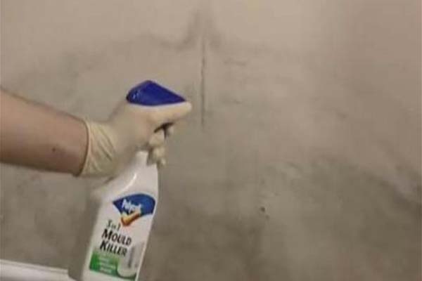 How To Remove Mold And Mildew From A Ceiling Ehowcouk Apps