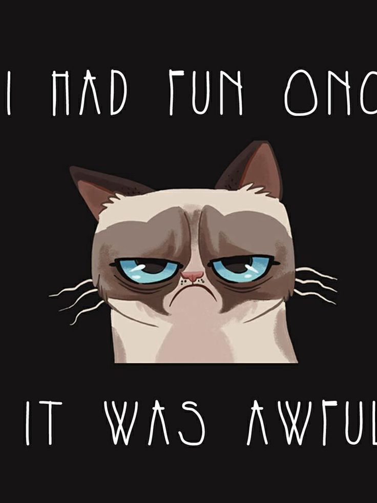 Grumpy Cat iPhone Wallpaper Cool And Funny