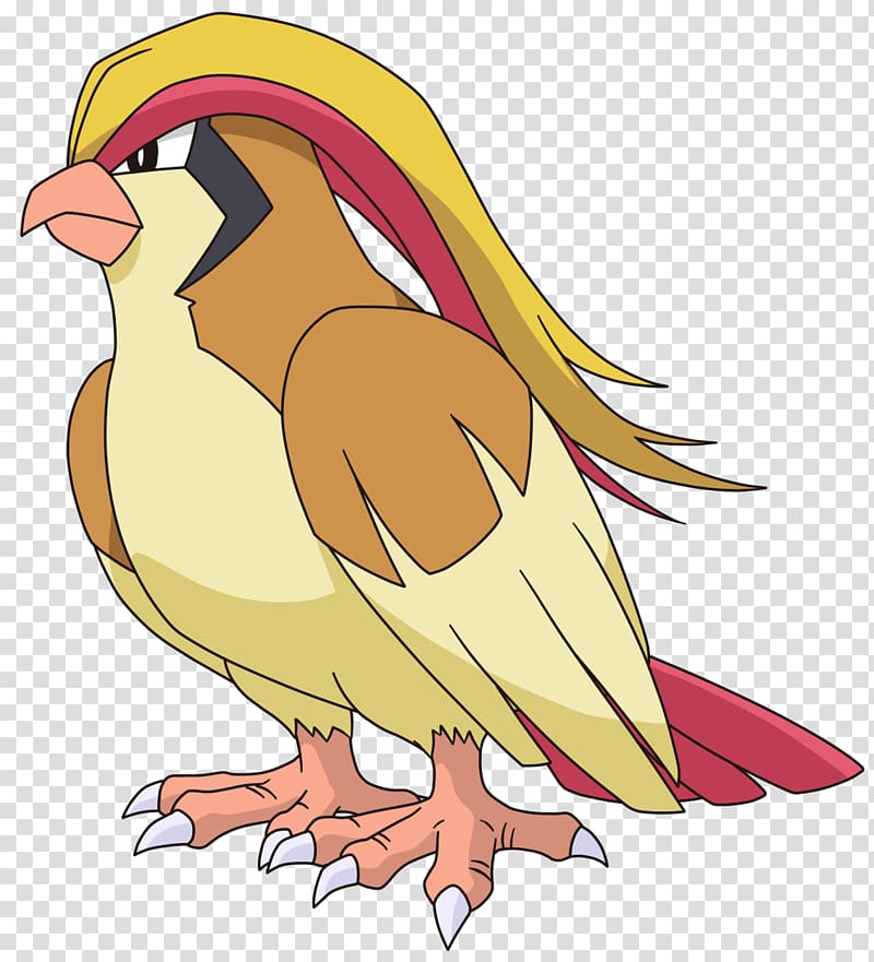 Pok Mon Omega Ruby And Alpha Sapphire Pidgeotto Cycle De