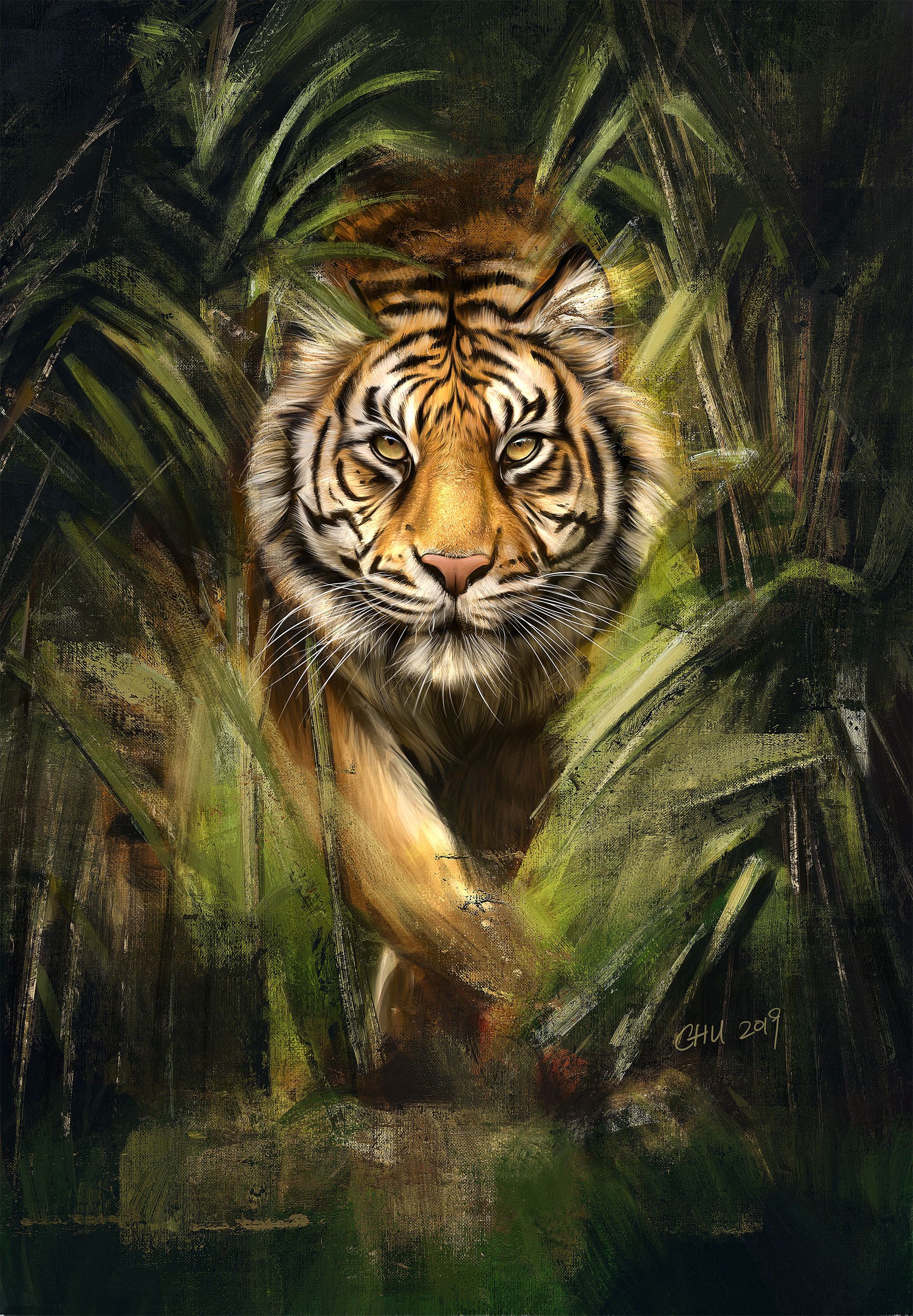 Procreate Painting Tiger On