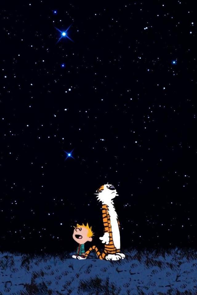 Calvin And Hobbes Looking At Stars