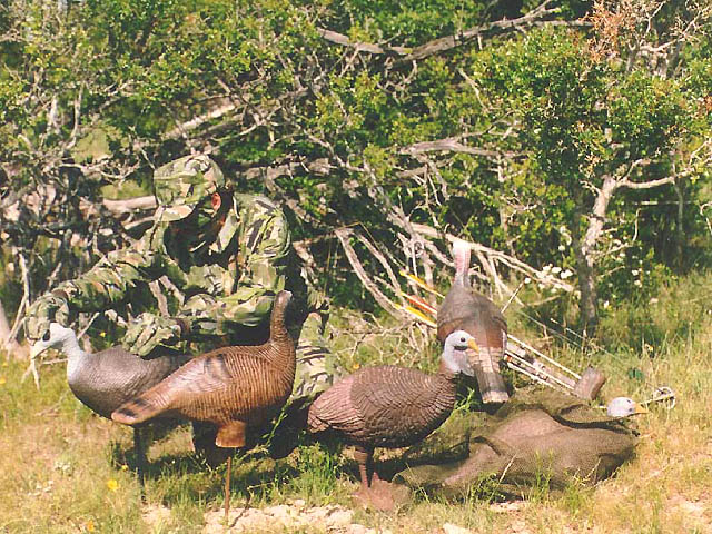 Setting Up Decoys During A Spring Gobblerbowhunt