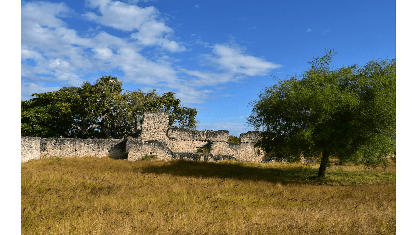 Ruins Of Kilwa Kisiwani And Songo Mnara Tanzania Apsaidal