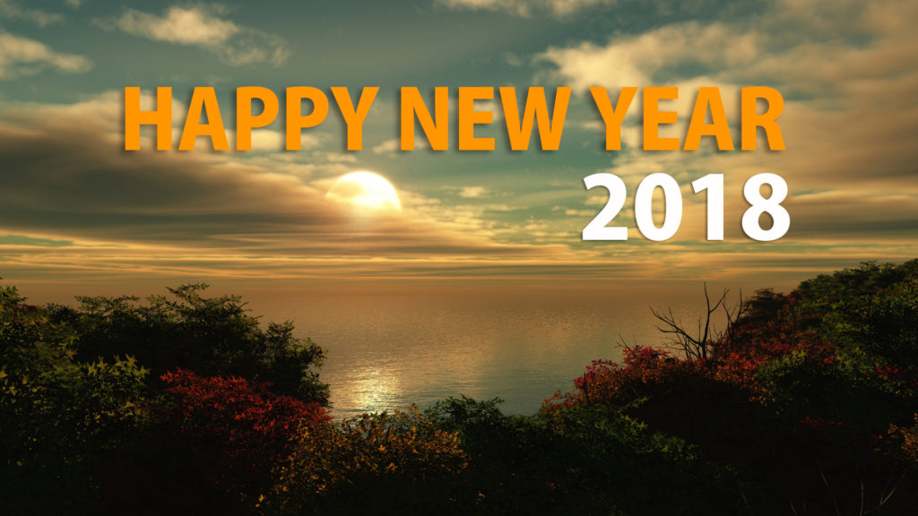 Happy New Year HD Nature Wallpaper 9to5animations