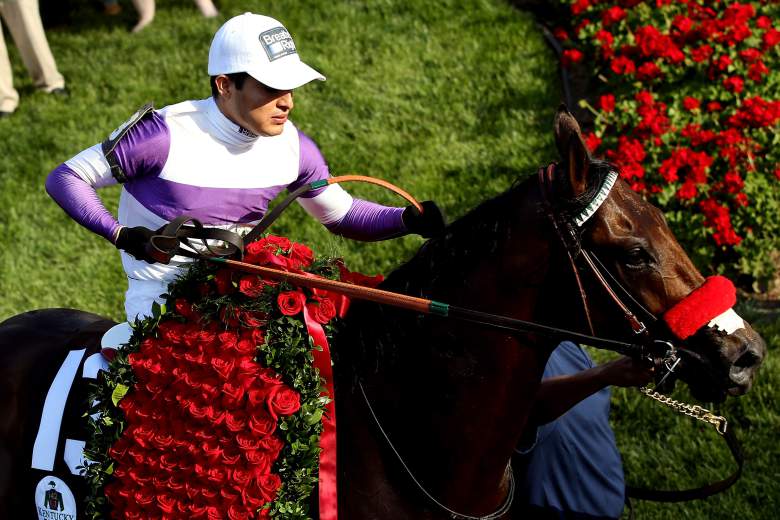 nyquist horse pedigree about name meaning earnings record career