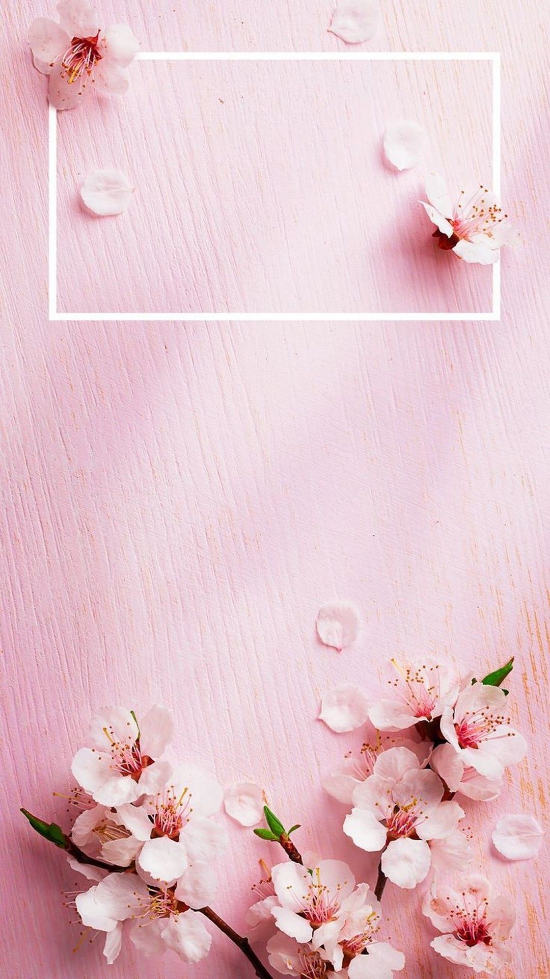 Aesthetic Pink iPhone Wallpaper