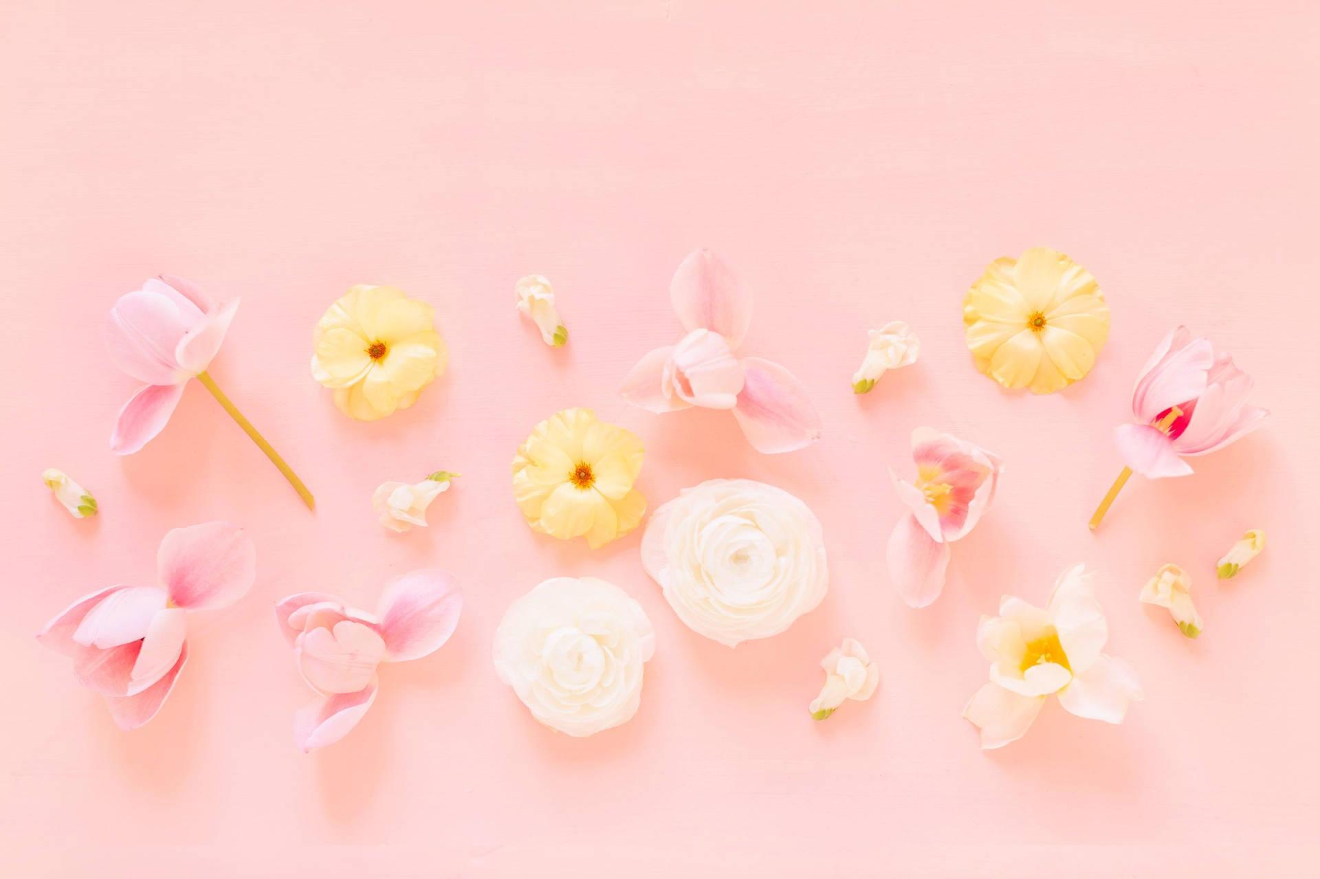 Download Floral Pink Pastel Aesthetic Laptop Wallpaper