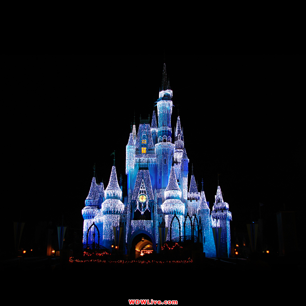 Walt Disney World Castle Background Wallpaper 1024x1024