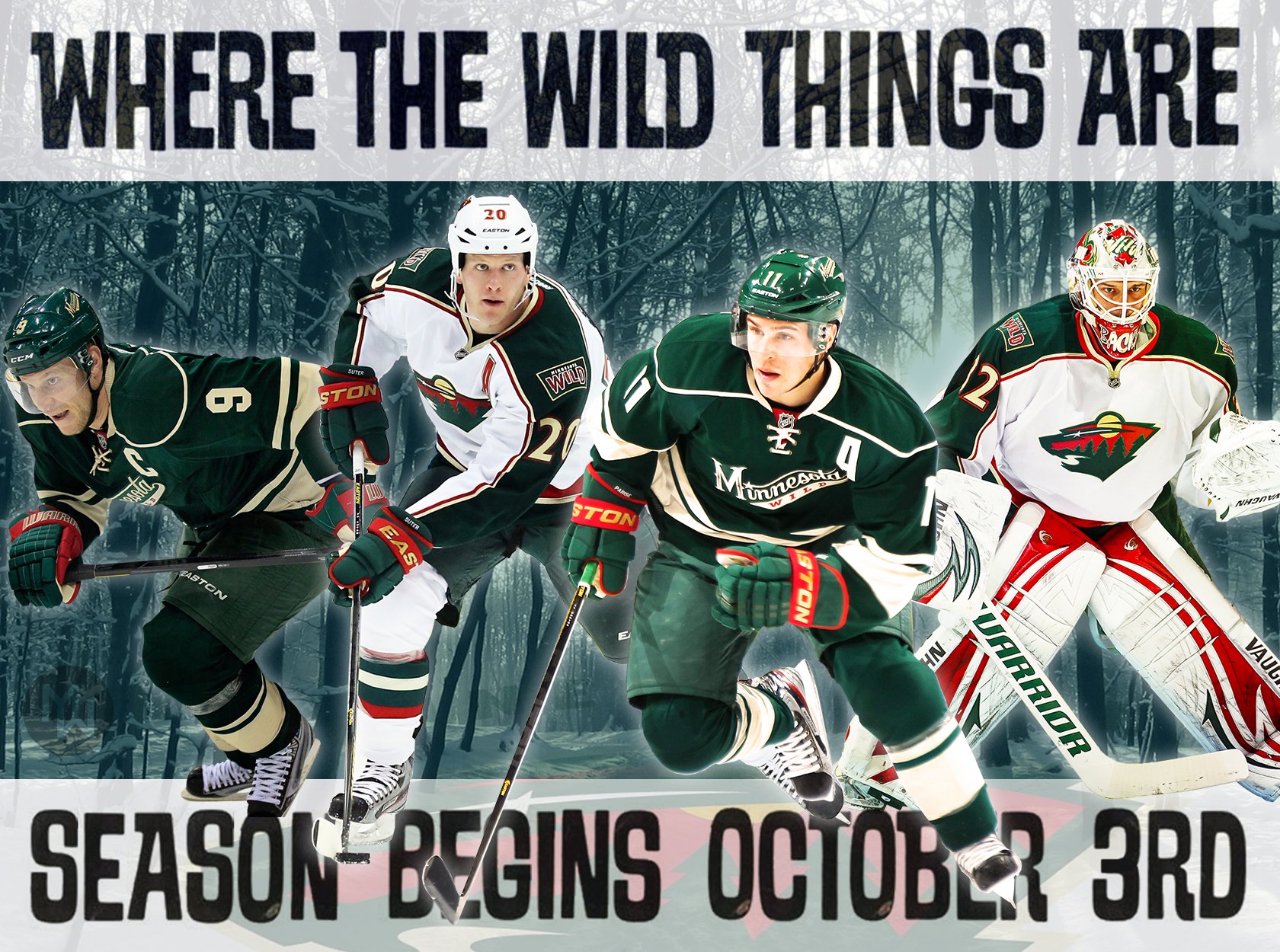 Minnesota Wild Hockey Nhl Wallpaper Background