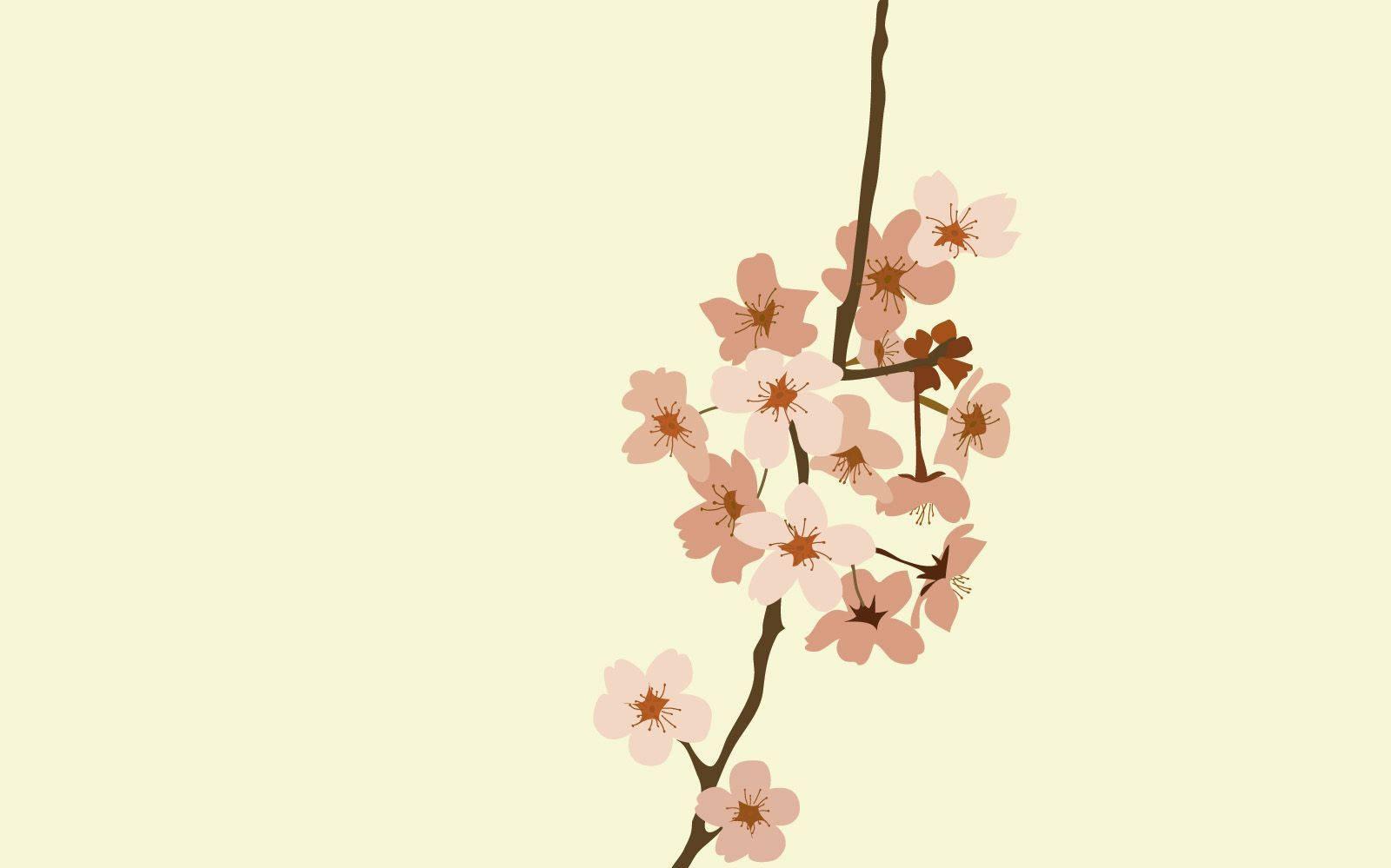 The Beauty Of Spring In Minimalist Form Wallpaper