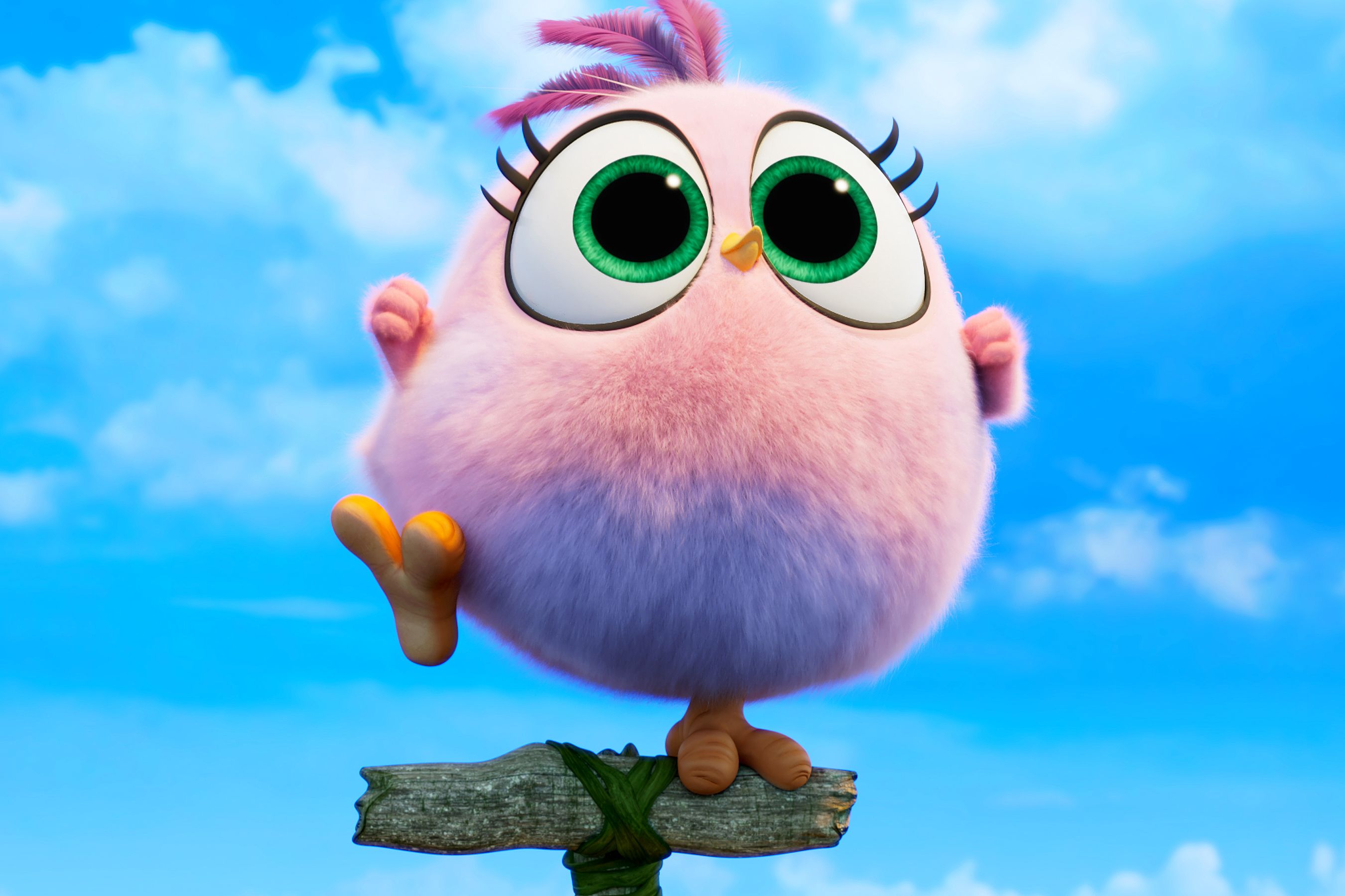 Exclusive The Angry Birds Movie Trailer Unites Pigs And