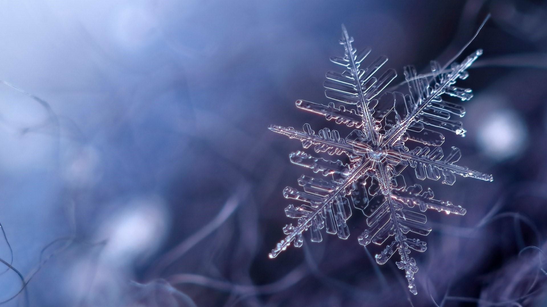 Snowflake HD Wallpaper