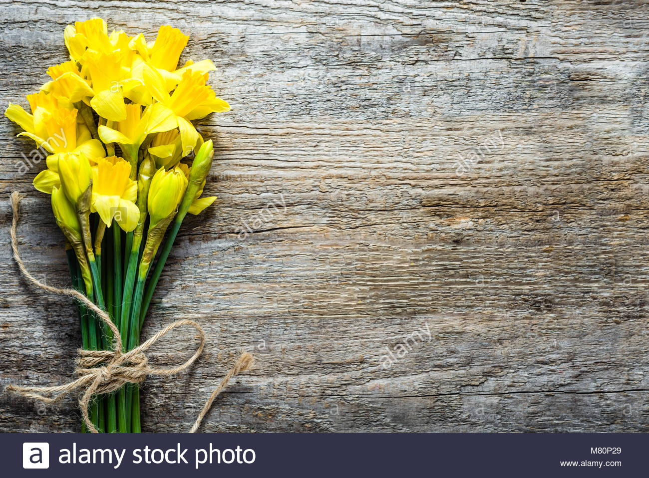 Spring backgrounds easter daffodils on wood Stock Photo