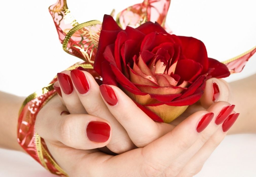 Red Roses Flowers Gift Lovely Wallpaper