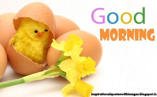 Good Morning Image Sms Wallpaper