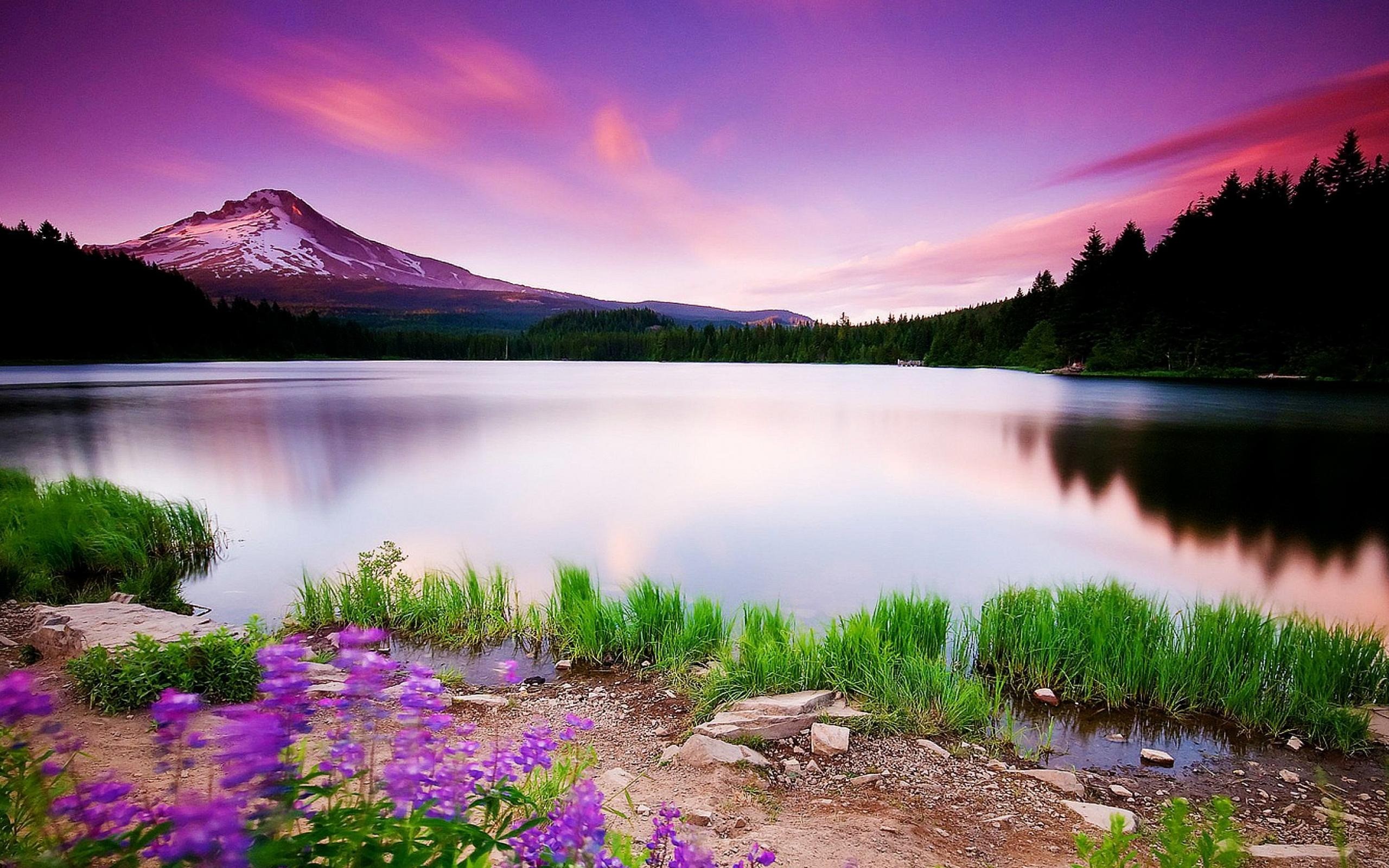 HD Scenery Wallpaper Ide Baru
