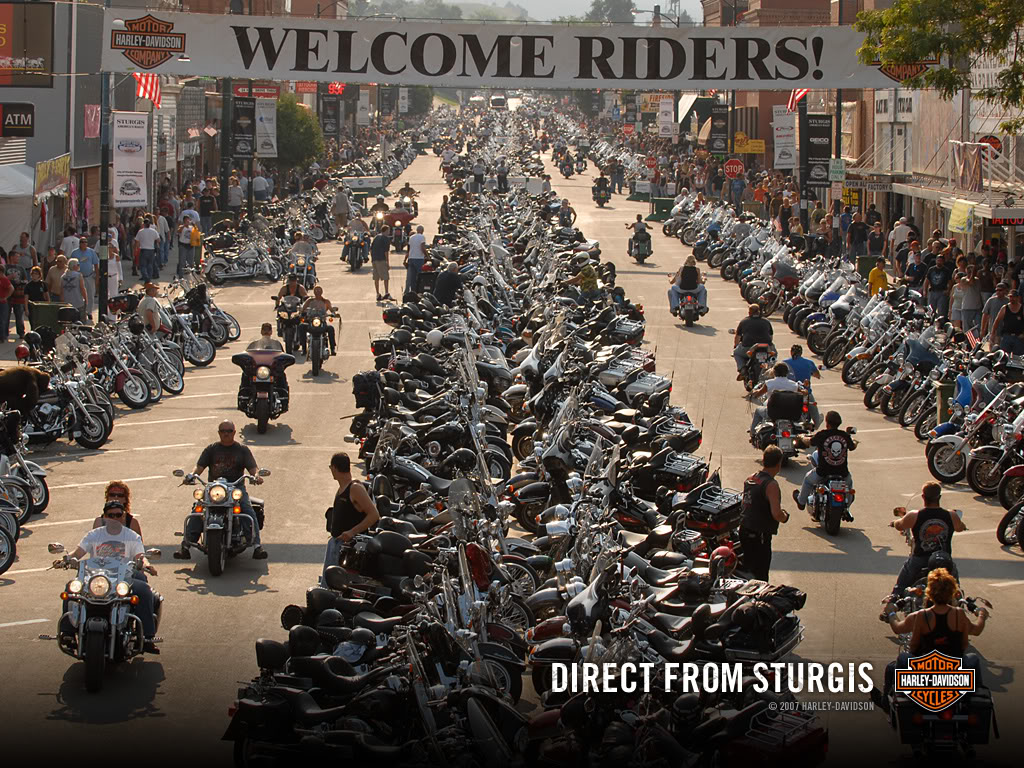 Sturgis Wallpaper Group