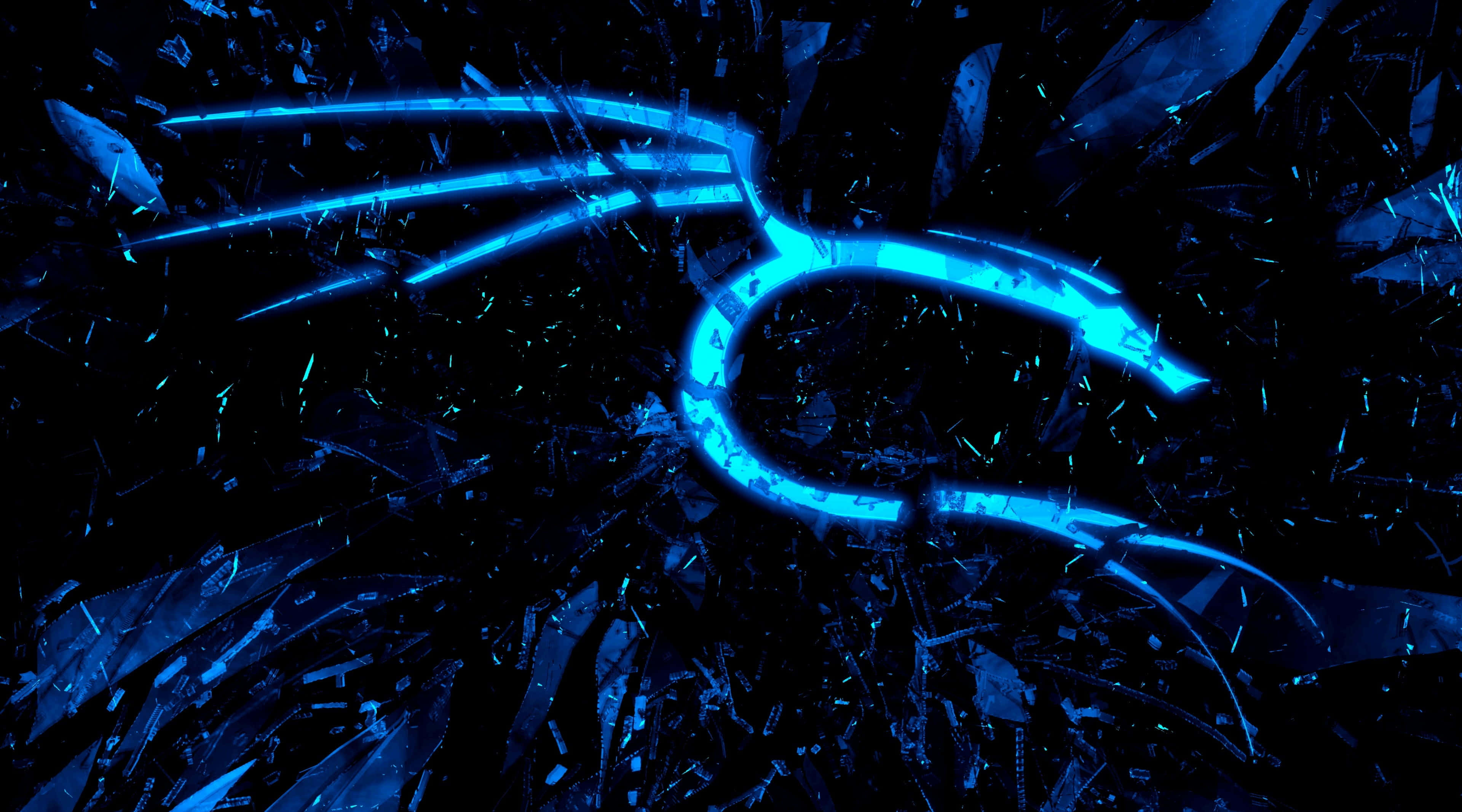 Kali Linux Background Wallpaper
