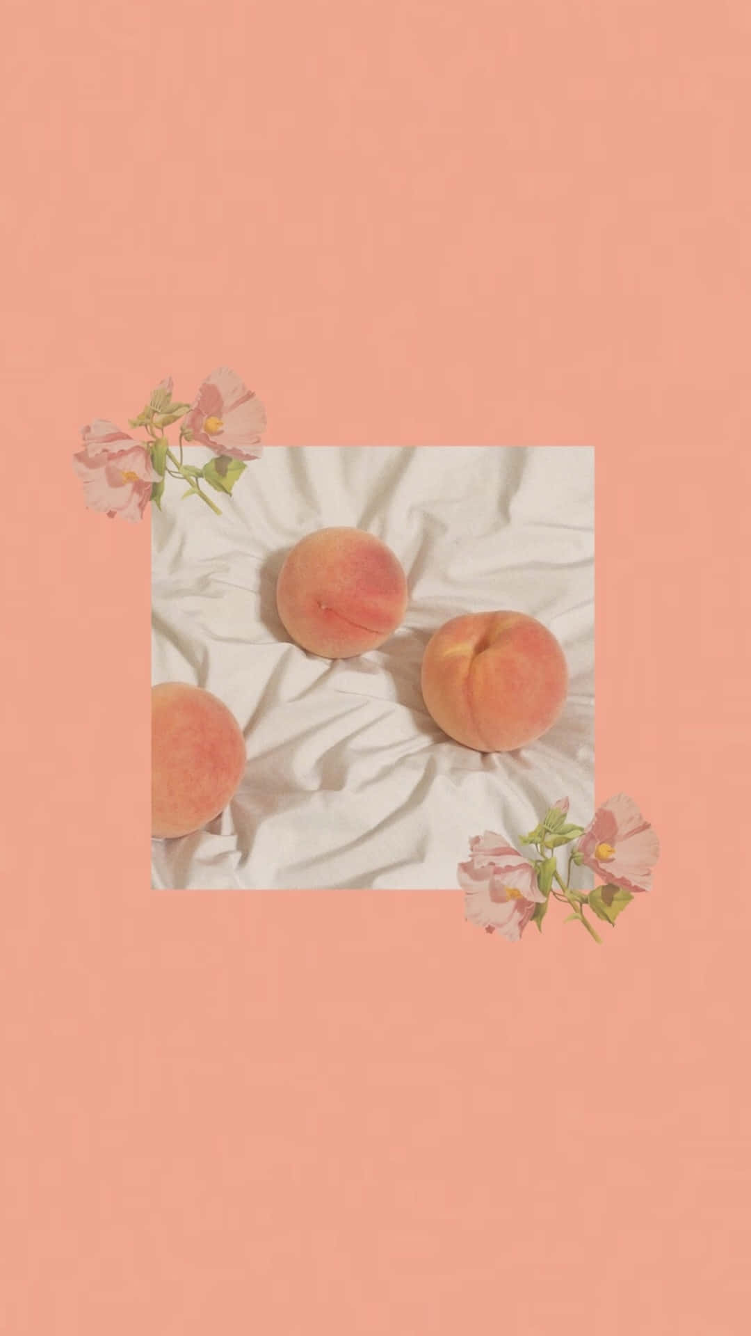 Vintage Peach Aesthetic Wallpaper