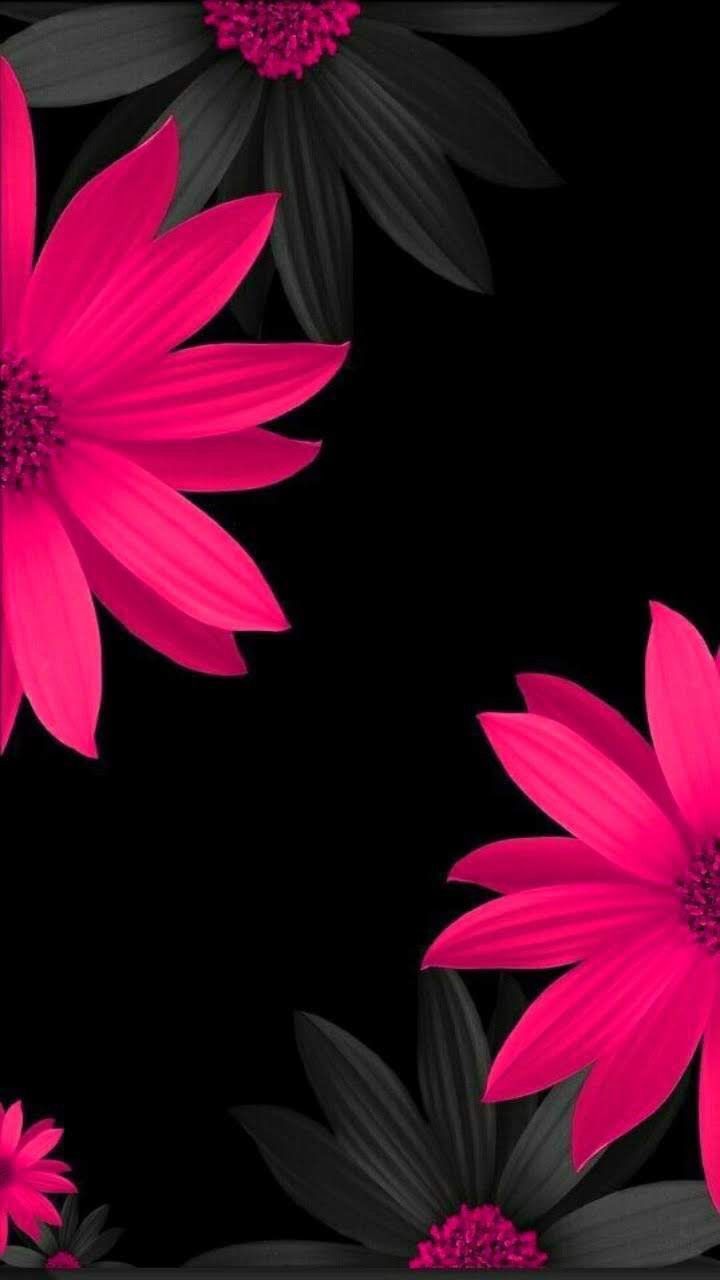 Black Theme Wallpaper iPhone Android Flowers
