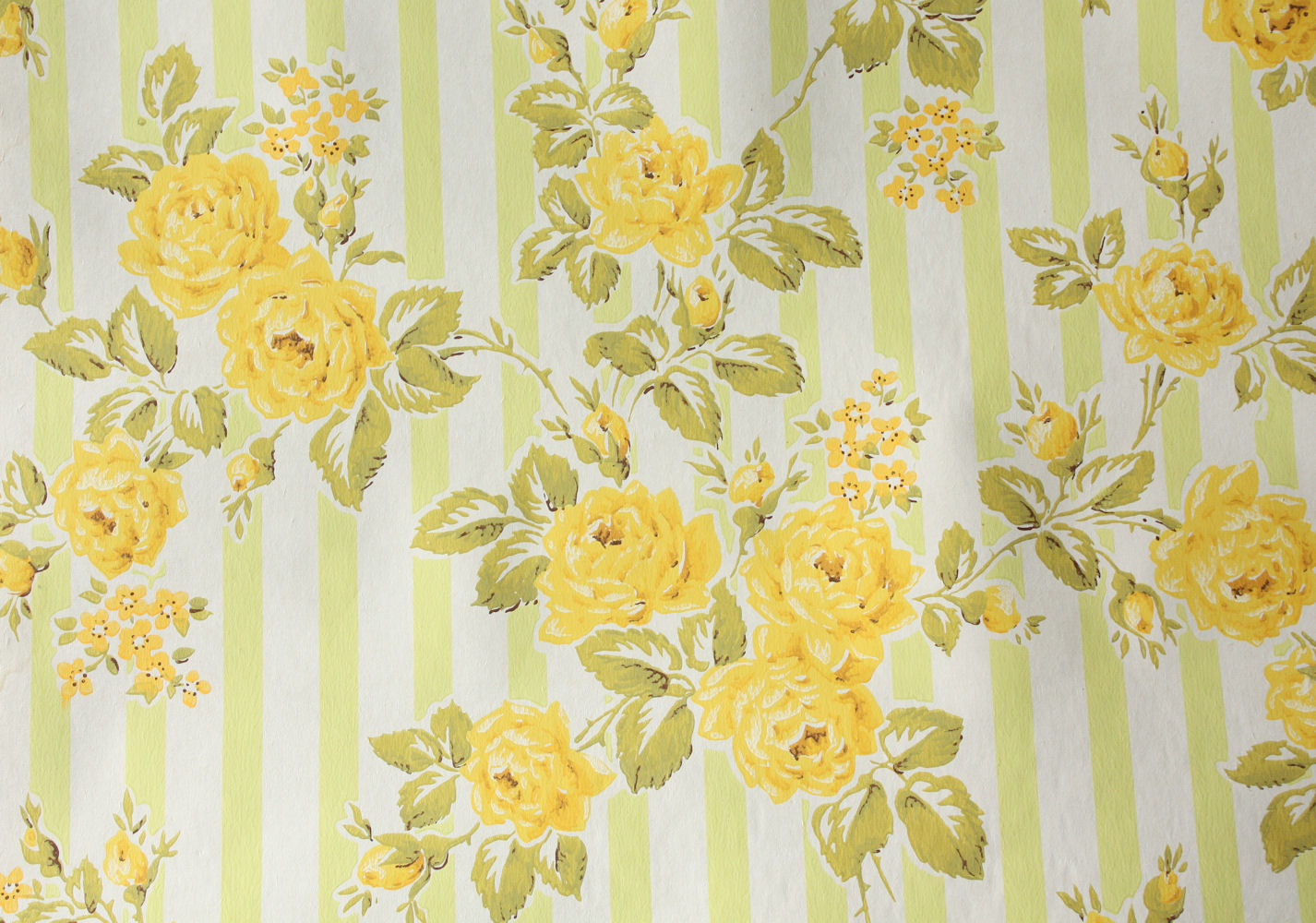 Wallpaper Pattern Stunning S Yellow Roses