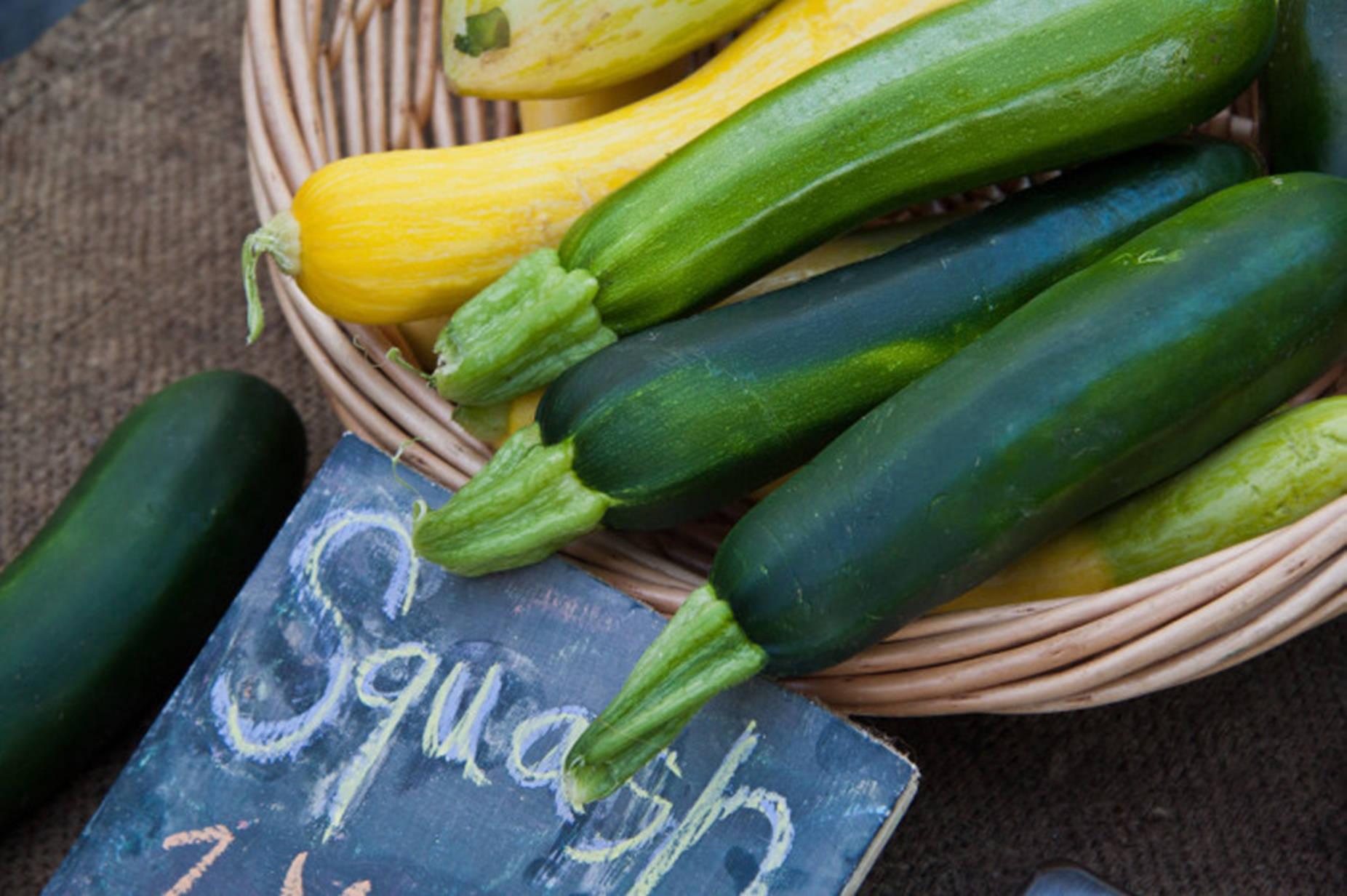 Zucchini Summer Squash Vegetables Wallpaper