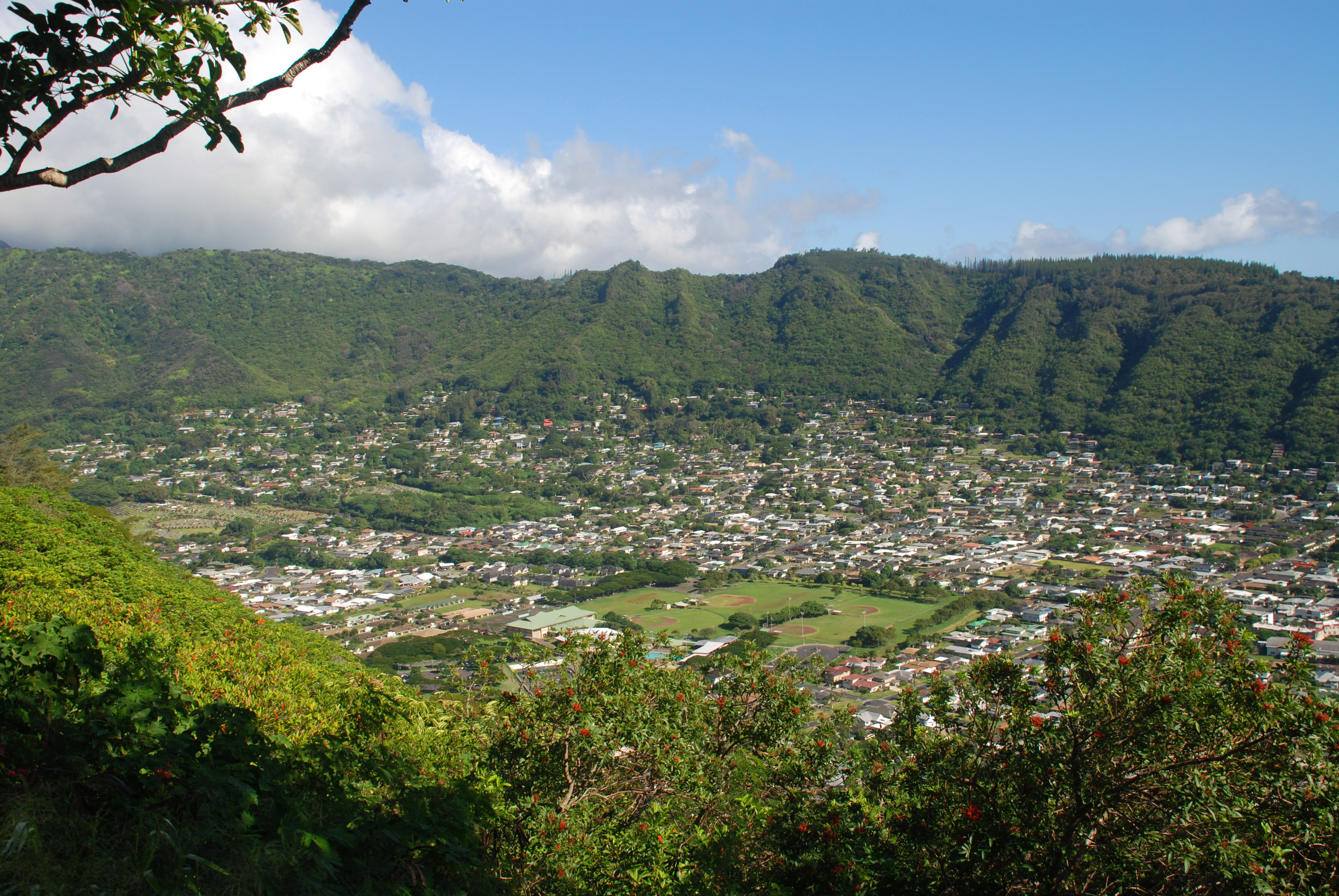 Manoa Valley From Round Top Drive Travel Wallpaper And Stock Photo