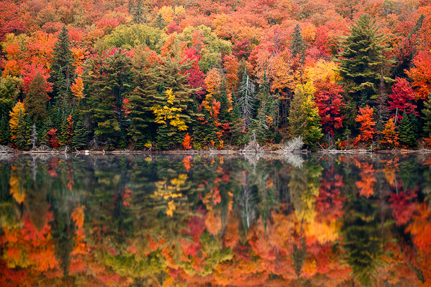 Autumn Algonquin Provincial Park Ontario Wallpaper Anglerz