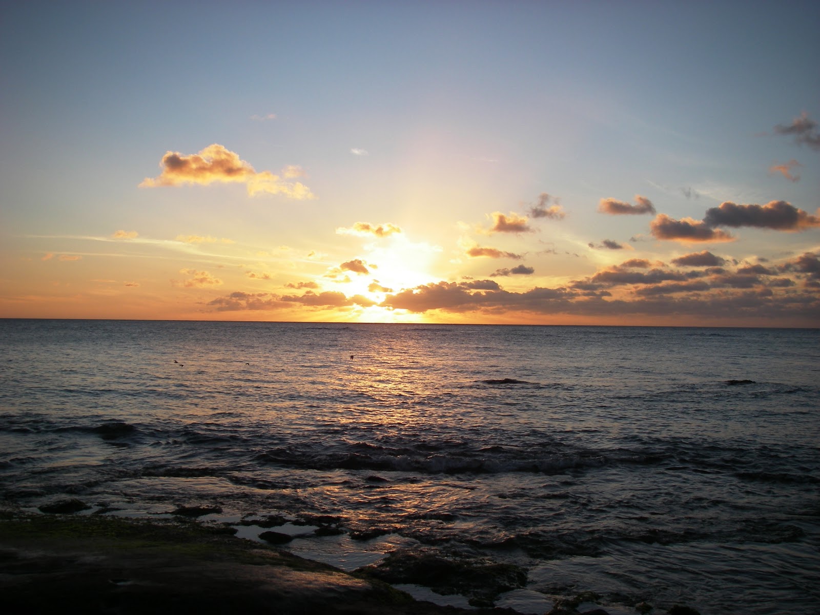 Hawaii beach sunset wallpaper   Polyvore