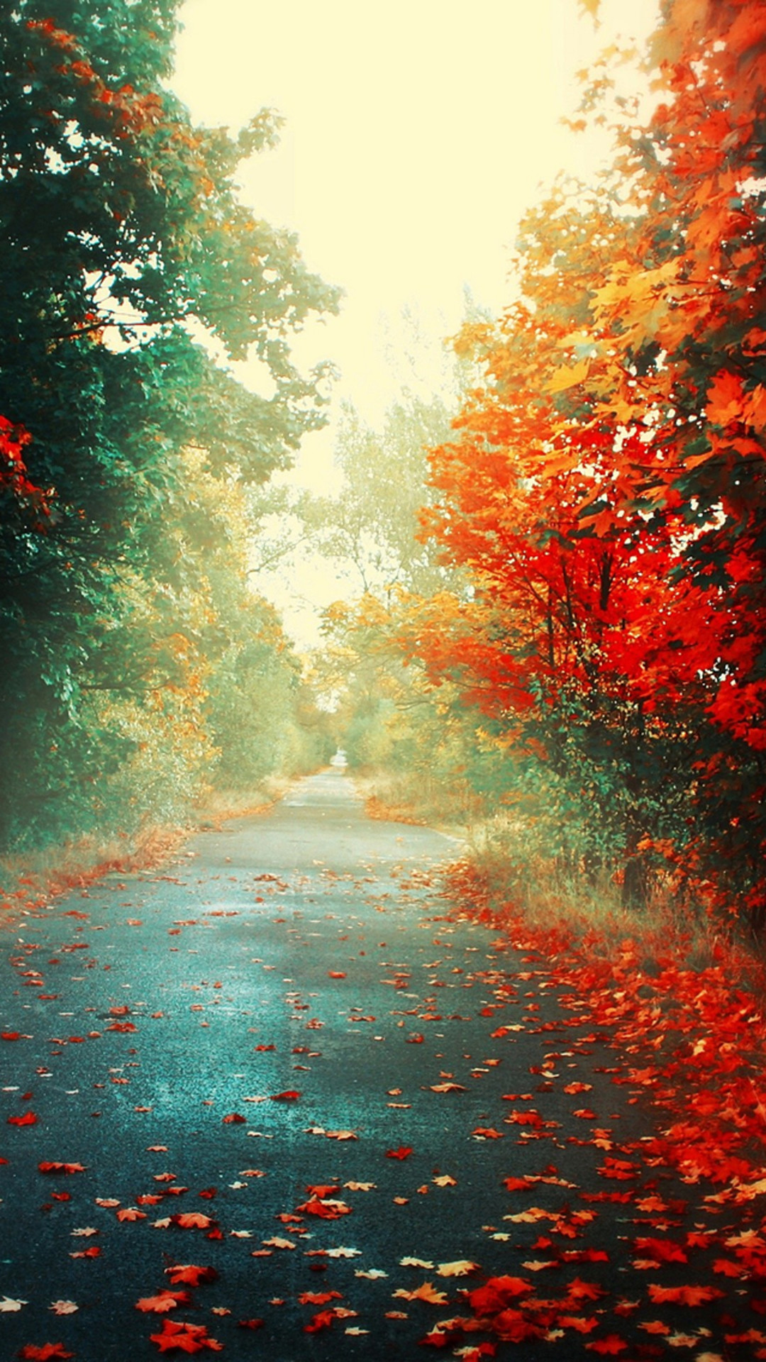 Iphone Autumn Wallpaper