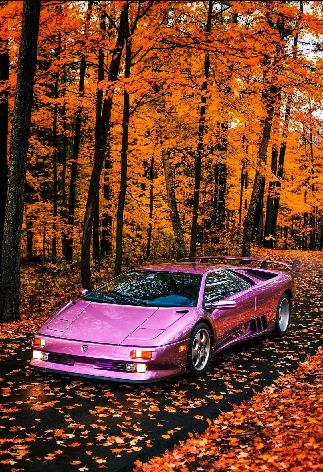 Lamborghini Diablo R Carporn