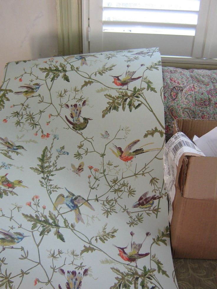 Cole And Sons Hummongbirds Fabulous Wallpaper