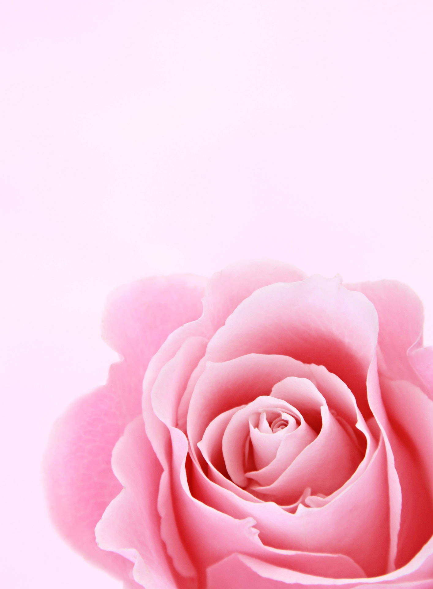Girly Pink Aesthetic Wallpaper