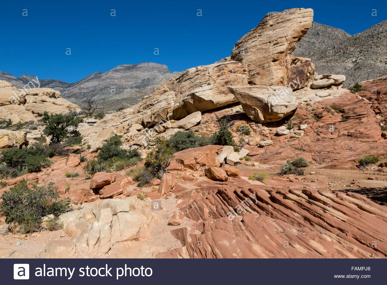 Red Rock Canyon Nevada Trail To Calico Tanks Keystone Thrust In