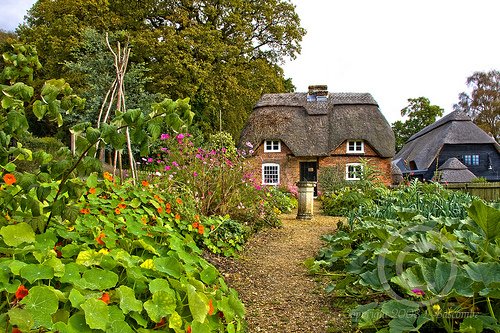 English Cottage Garden Wallpaper