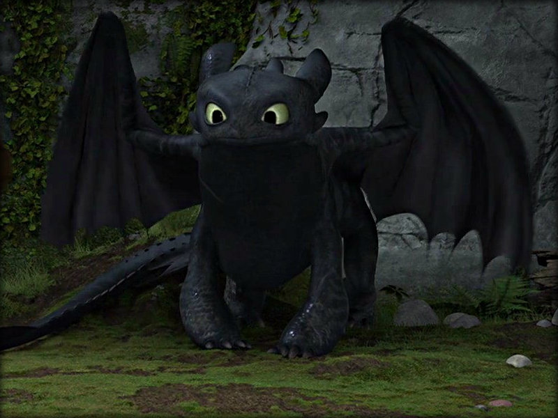 Cute Toothless Dragon Wallpaper Image Pictures Becuo