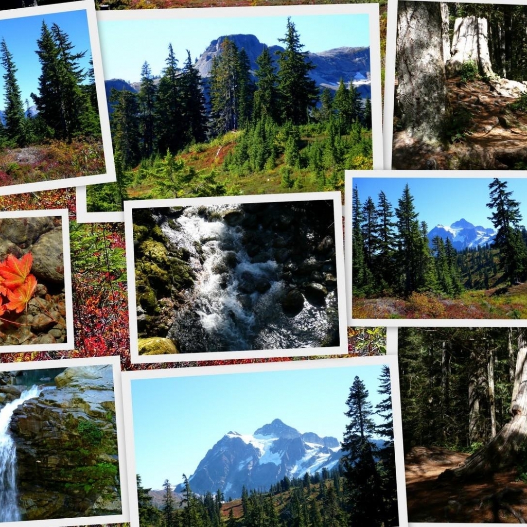 Pacific Northwest Collage HD Wallpaper