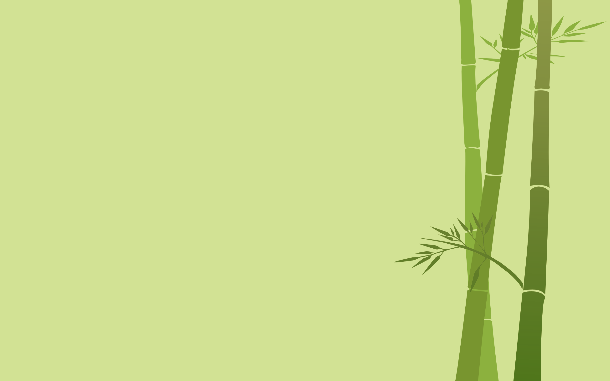 Desktop Bamboo HD Wallpaper