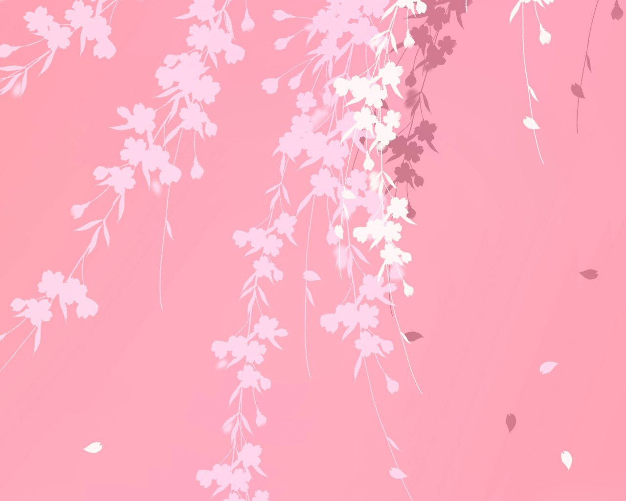 Pink Background Branches Windows Hd Wallpaper In High