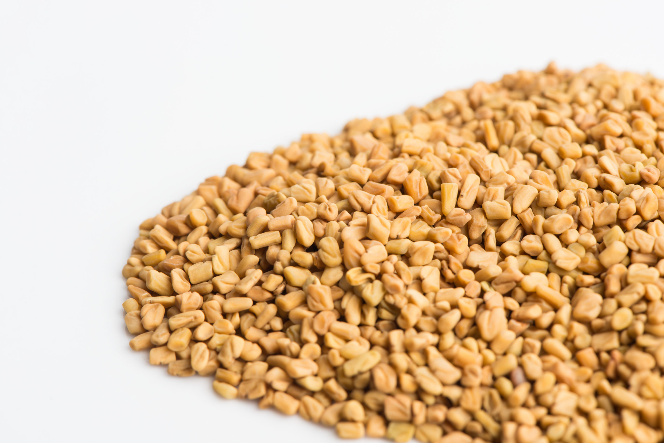 Fenugreek Wallpaper
