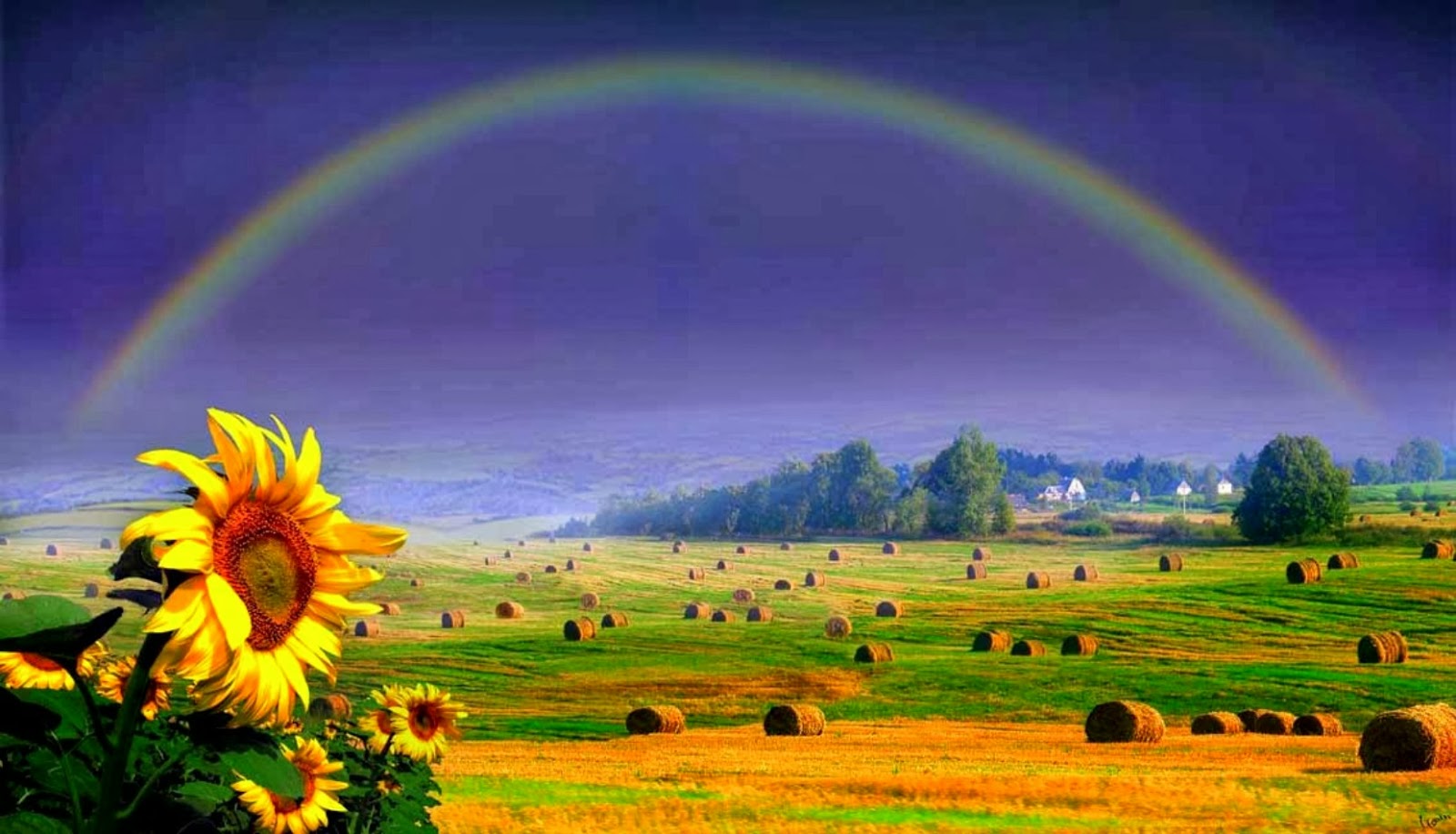 Rainbow Wallpaper Most Beautiful Places In The