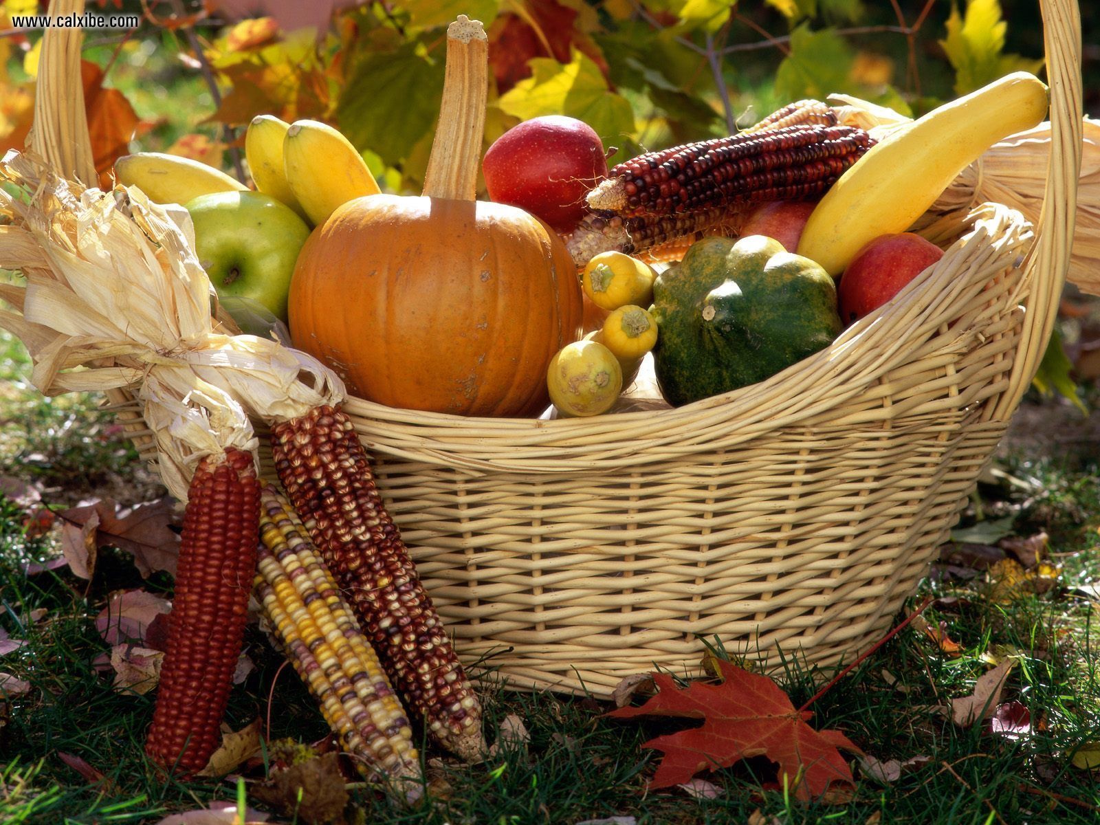 Autumn Harvest Desktop Wallpaper5