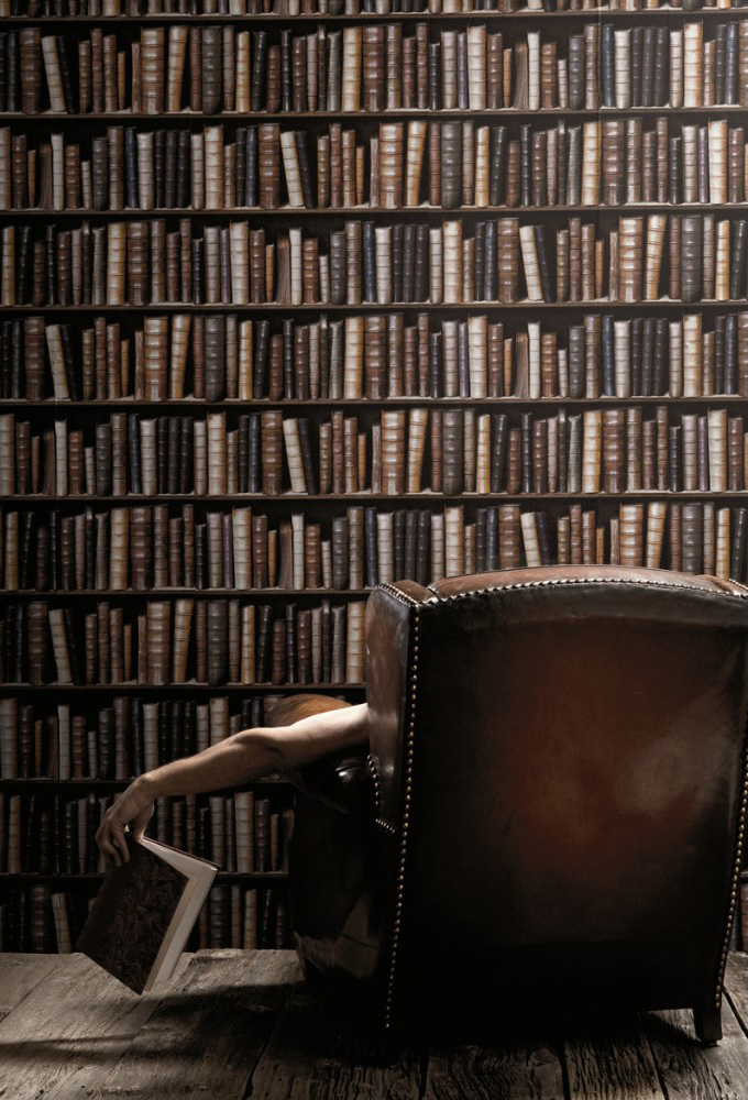 Bookcase Wallpaper The Green Head