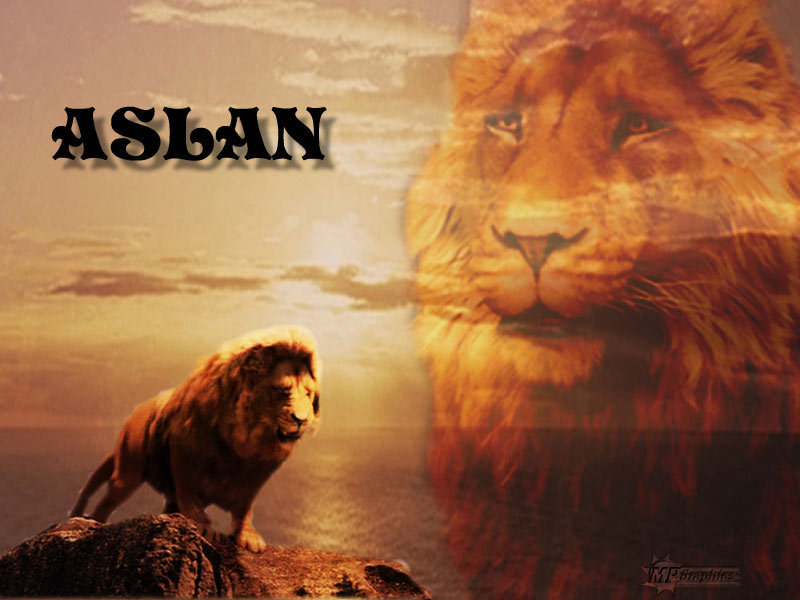 Aslan The King Of Narnia Wallpaper