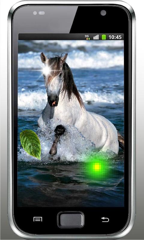 Horses Top HD Live Wallpaper Android Apps On Google Play