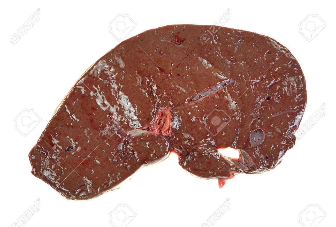 A Single Slice Of Raw Beef Liver On White Background Stock Photo