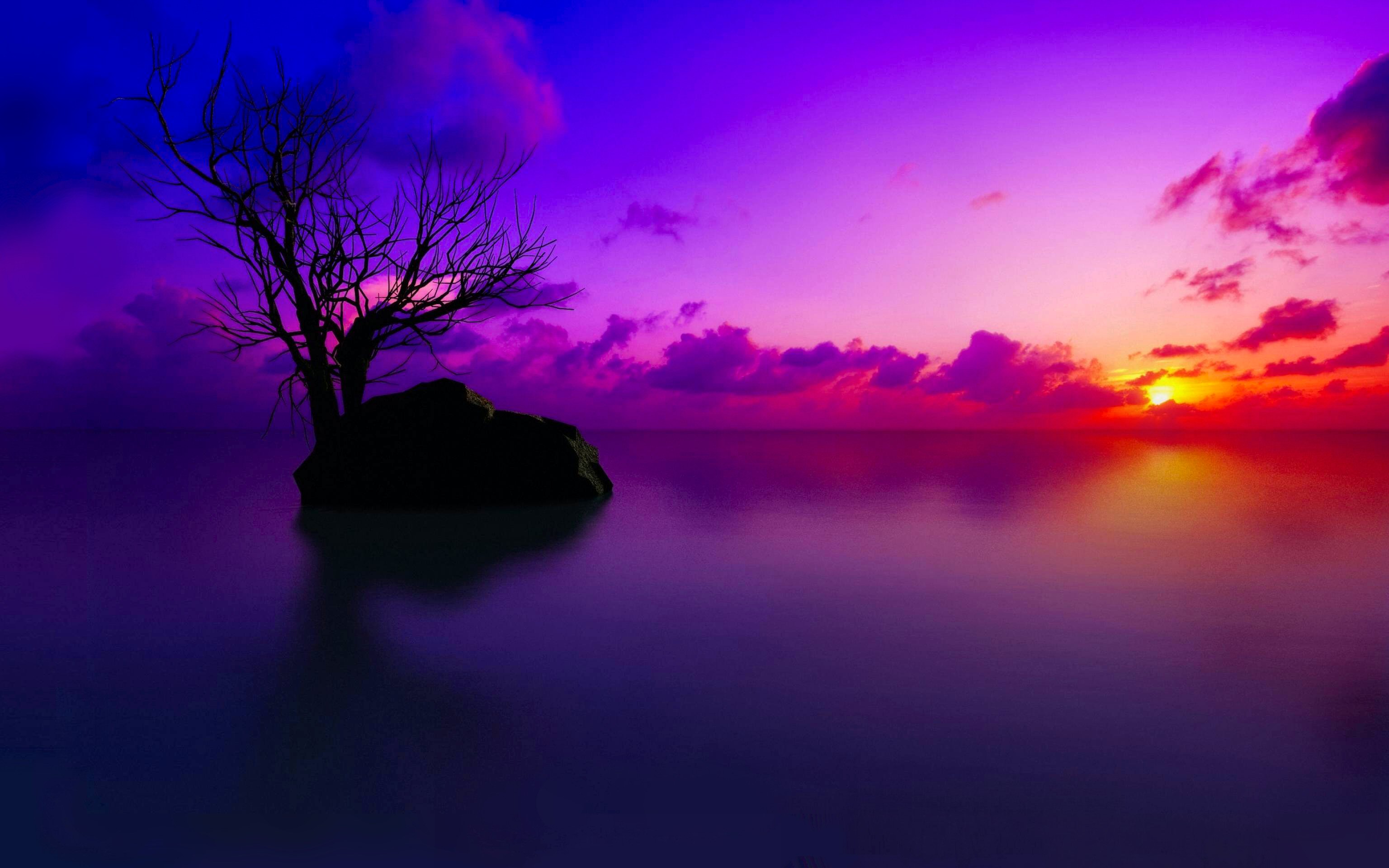Silhouette of a lone tree on a small island at sunset, with vibrant purple and orange hues reflecting in the calm water