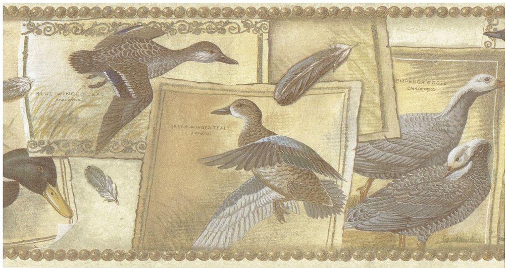 Audubon Mallard Ducks Border 251B33648 wallpaper lodge green blue prepasted