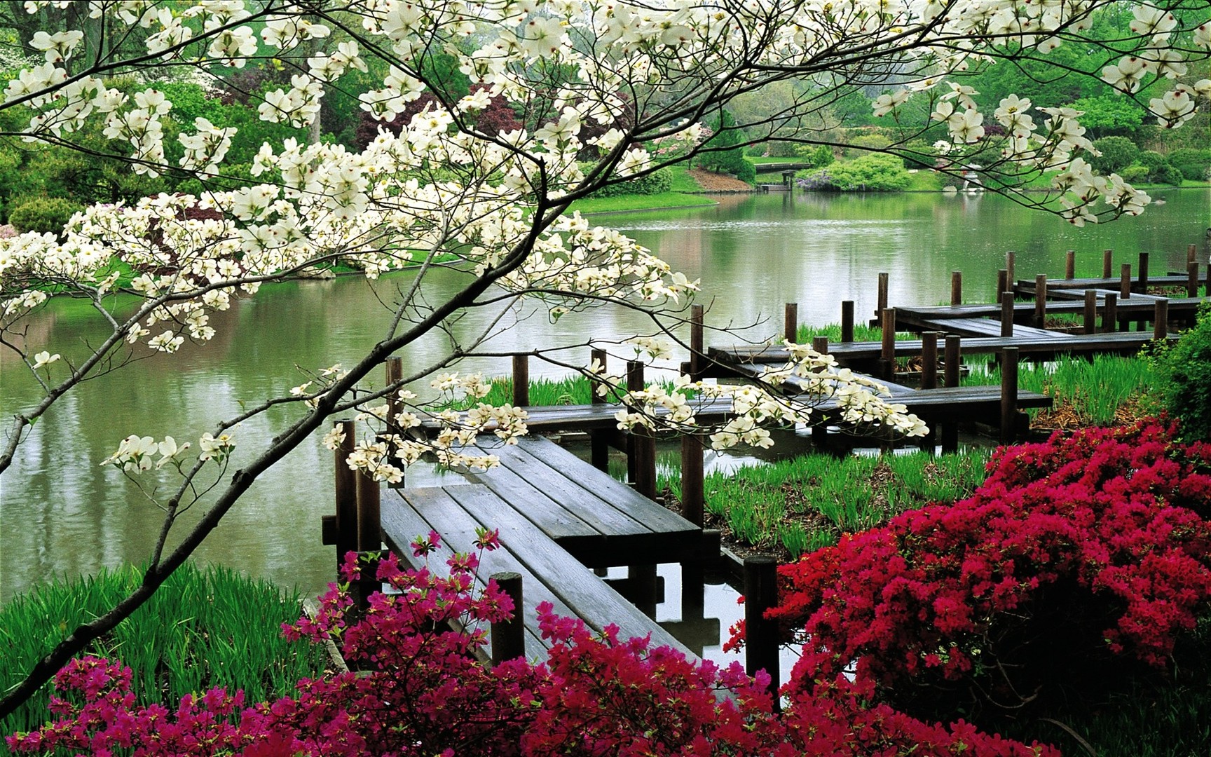 Garden Wallpaper